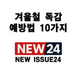 겨울철 독감 예방법 10가지