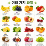 제철 과일 종류와 효능