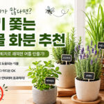 집 모기 퇴치법