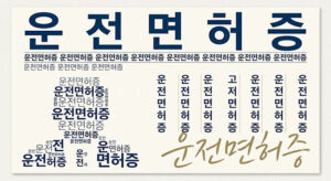 자동차 운전면허