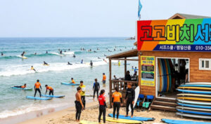 고고비치서프